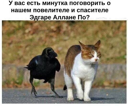 Картинки для деградации 209 (разной степени свежести)