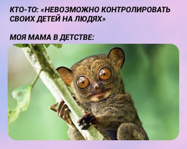 Картинки для деградации 215 (разной степени свежести)