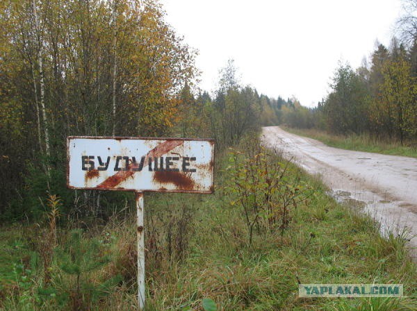 Семь наивных вопросов сторонникам Евромайдана