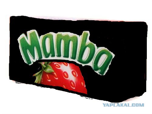 Если вас укусила гадюка..