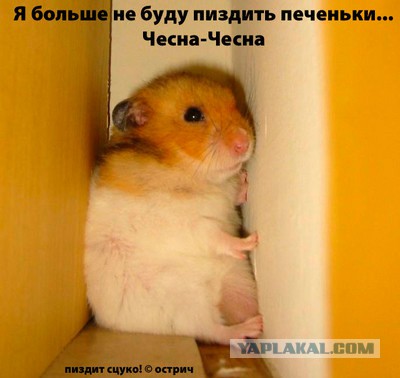 Картинки