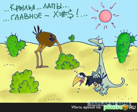 Немного позитива на пятницу