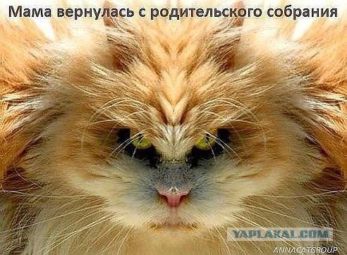 Пару прикольных картинок