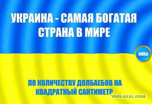"Братский" народ.