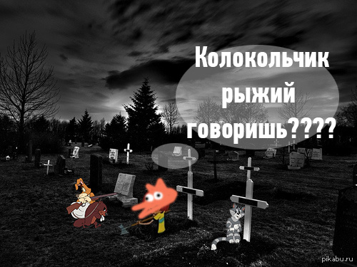 Мой друг и товарищ