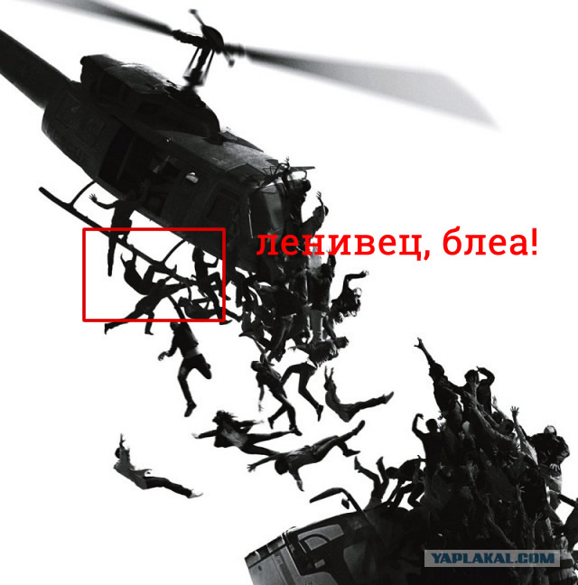Картинки из сети