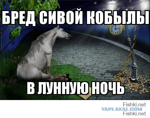 Как правильно заправляться