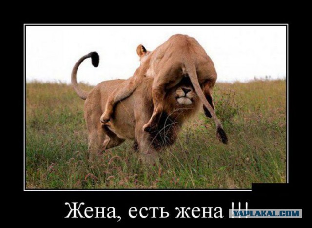 Сборник "баянов" со всего Интернета - 2