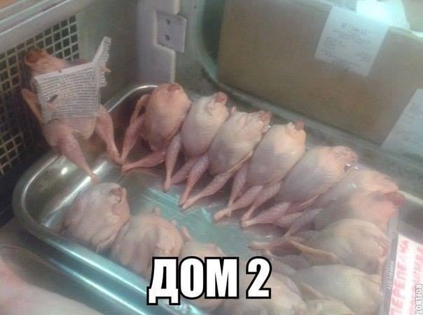 Картинки + гифки.