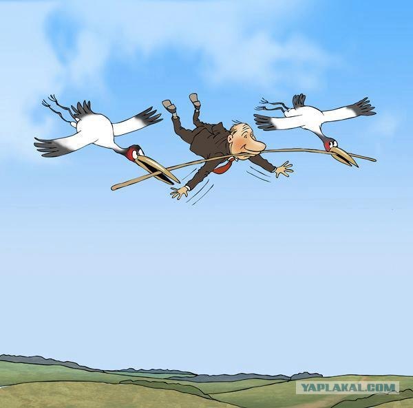 Путин с клювом в халате возглавил журавлиный клин