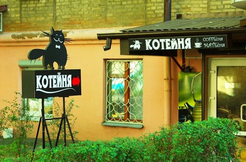 Картинки разные