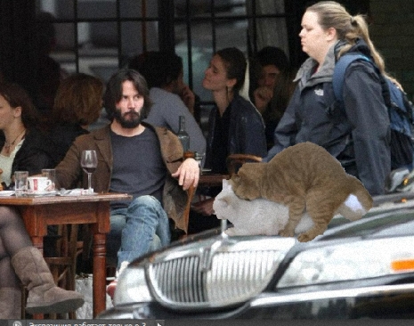 Не желаете ли пожабить