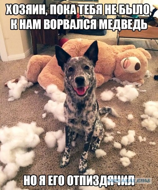 Абсурдный юмор ч.7