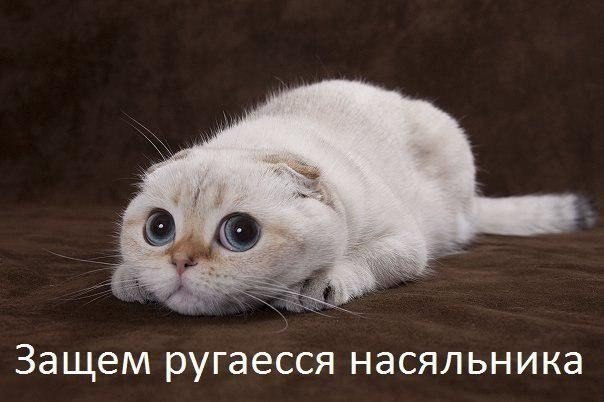 Подборка картинок 16.02.16