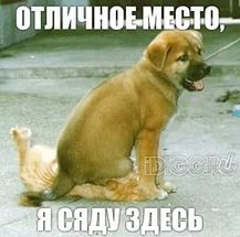 Немного охренел от такой наглости