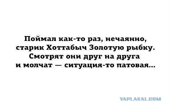 Подборка картинок из сети.