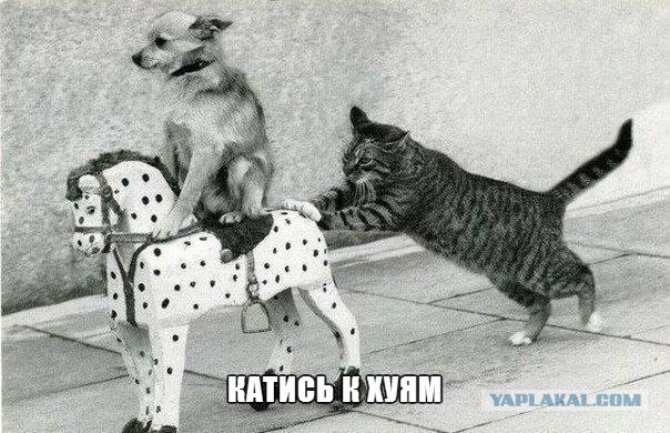 Открытое письмо россиянам от украинца