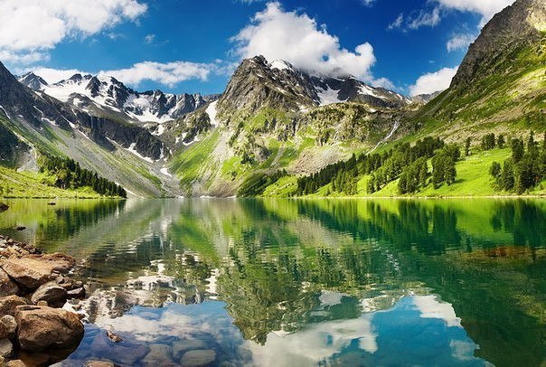 Картинки разные