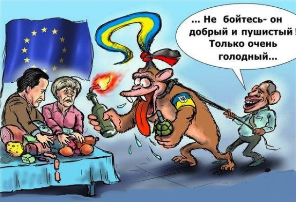 Яценюк требует предоставить Украине оборонительное оружие НАТО