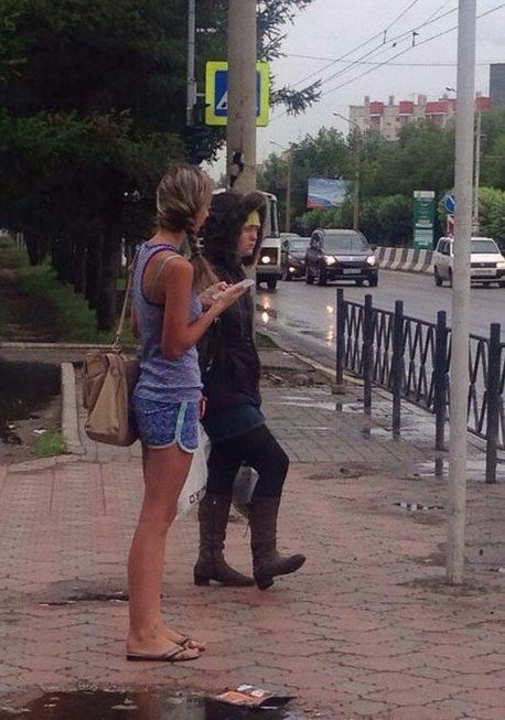 Картинки и приколы из сети