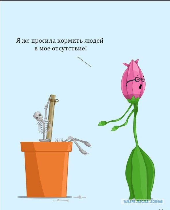33 картинки упоротого арта