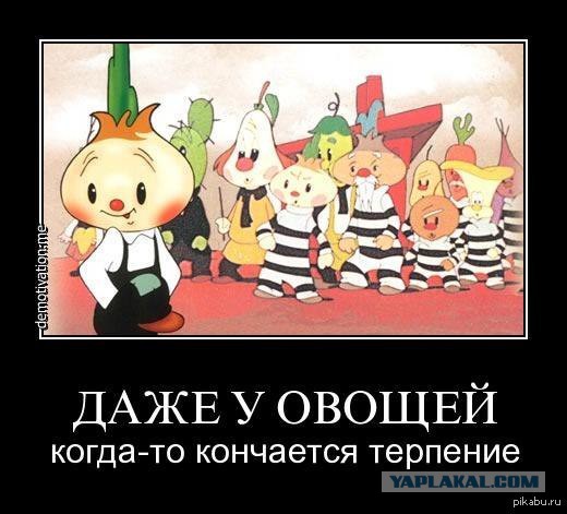 В России готовят поправки, позволяющие продать "излишек" квадратных метров в единственной квартире должников