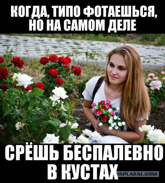 Приколы в стиле деградация