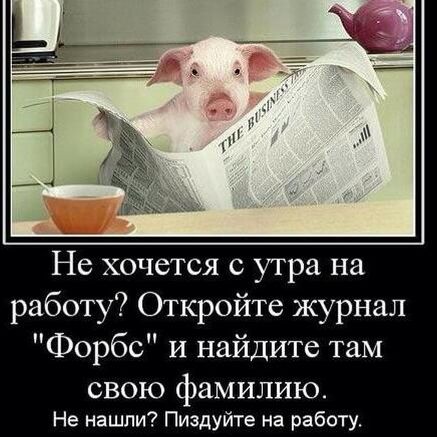 И еще немного картинок...