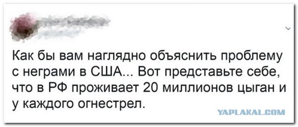 Смешные комментарии из социальных сетей 11.08.2017