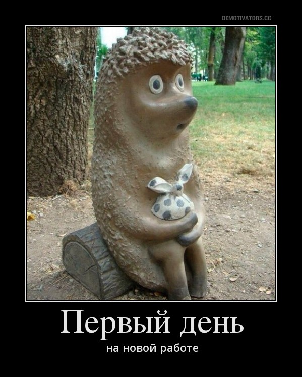 Первый день работы