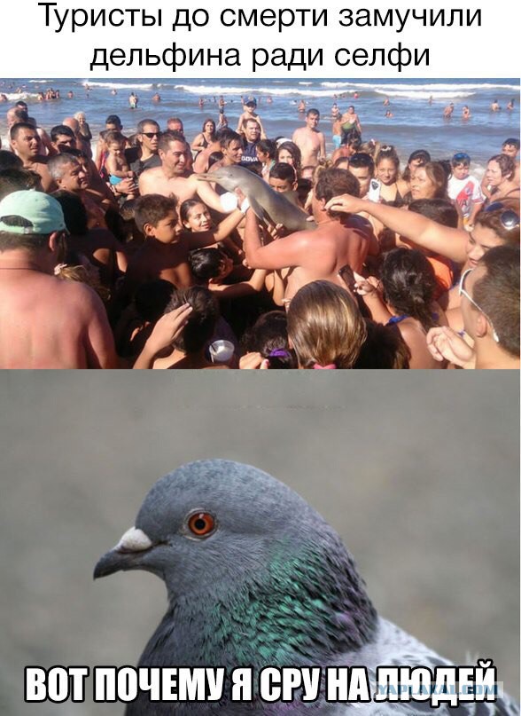 Доколе, я вас спрашиваю?