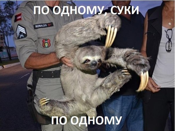Побоище в Сургуте