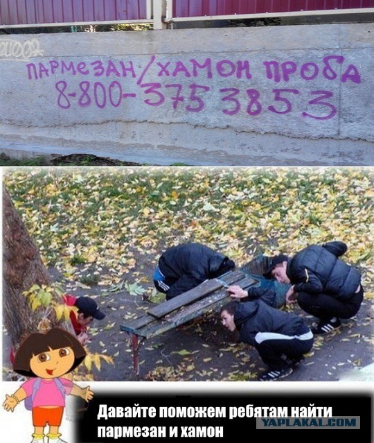 Про закладки и ментов