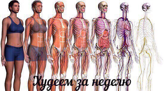Пятница наступает! Пора начинать деградировать