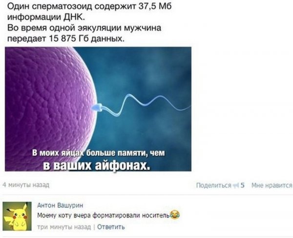 Нестандартный юмор