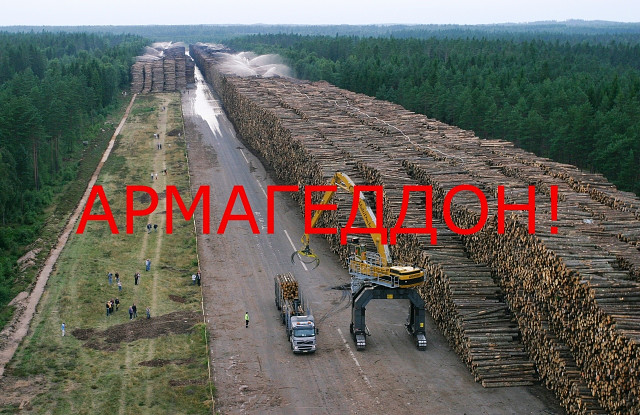 "У нас скоро лесов не останется": Путин призвал навести порядок в "криминализованном" лесном вопросе