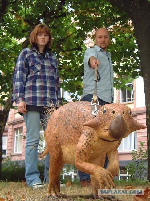 Чудо-Юдо