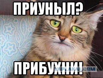 Кого звать, если...