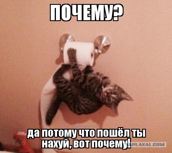 Интересно было бы узнать
