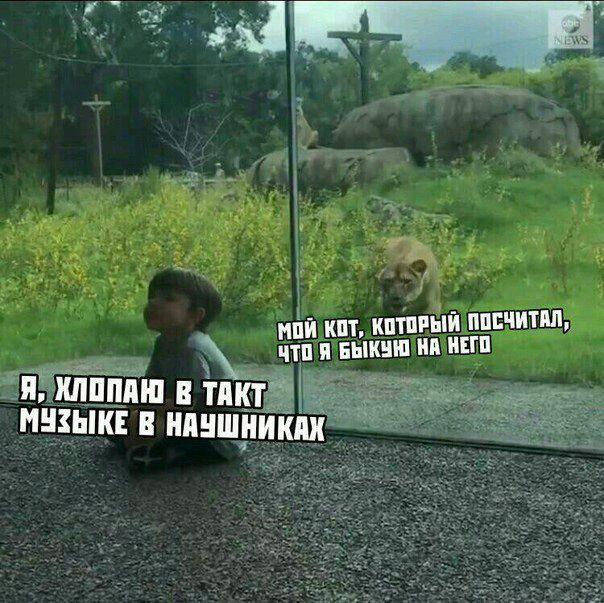 Немного картинок с надписями и без - 15
