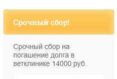Помогите вернуть кота! Приют "Преданное сердце" украл кота и не отдает!