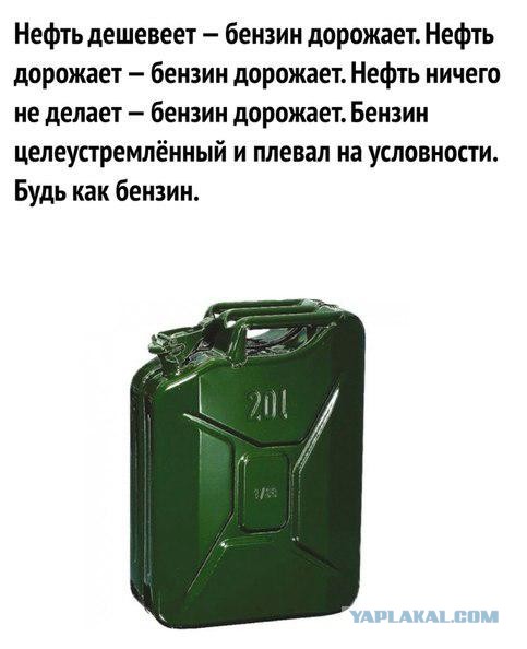 Новак: Падение цен на нефть не отразится на стоимости бензина в России