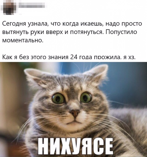 Так себе картинки 03.07.20