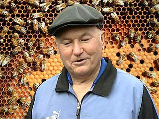 Придурок