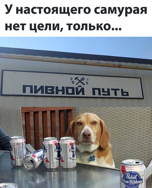 Алкопост. 28.08.2020