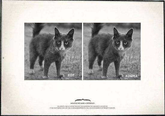 Усы творят чудеса!