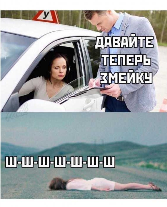 Моя животина, хвастаюсь