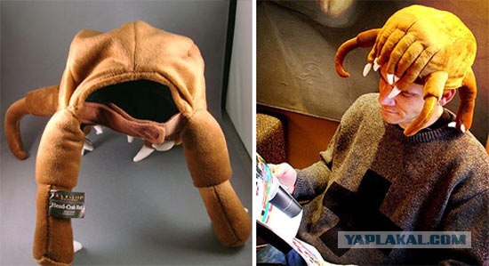 Эпичный кот