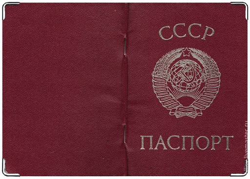 Во Внуково полицейские задержали мужчину и женщину, которые хотели улететь в Астрахань по паспортам СССР. Вызвали санитаров