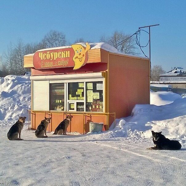 Жизнь городских окраин